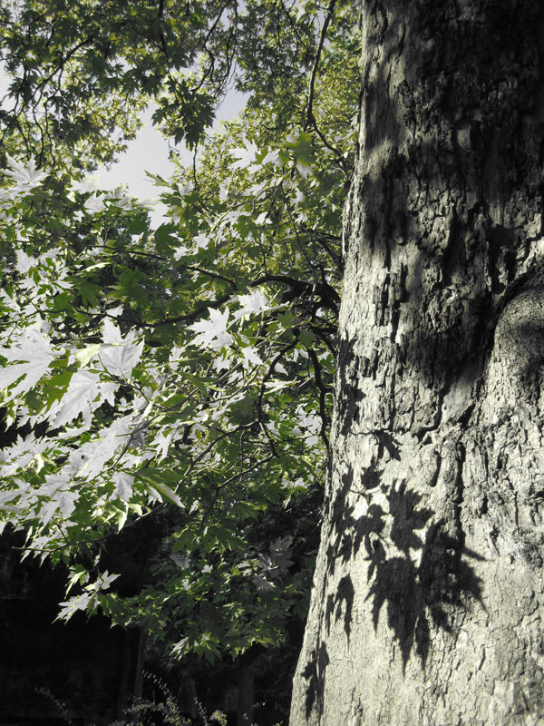 photography:personal photography shown as a reflection of travels and creative expression